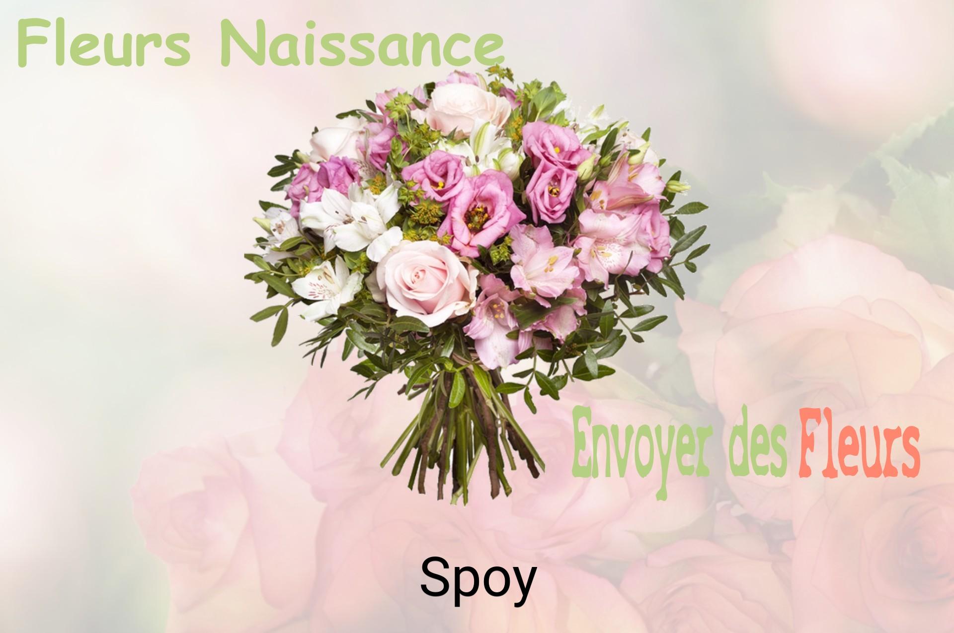 Bouquet de fleurs de naissance livré à Spoy